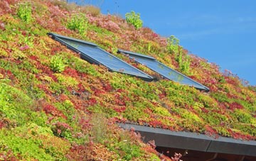 Upper Bullington living roof systems